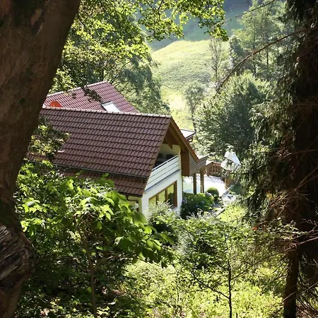 Haus Am Berg, Lonau